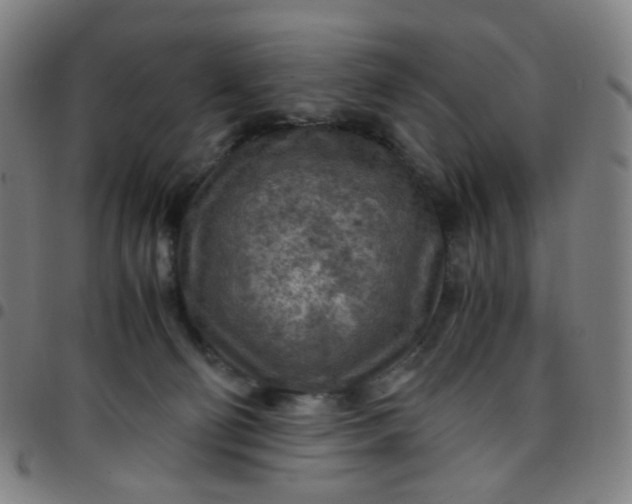 X0000097480130200803071725