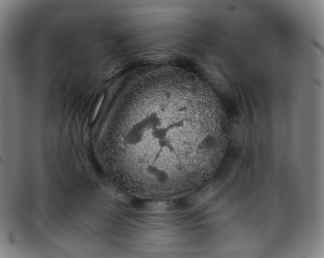 X0000097480131200803071725