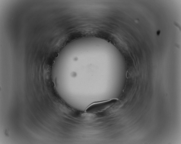 X0000097480133200803071725