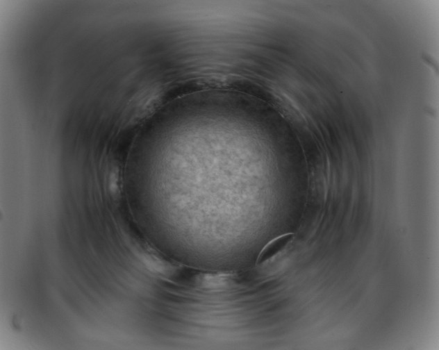 X0000097480134200803071725