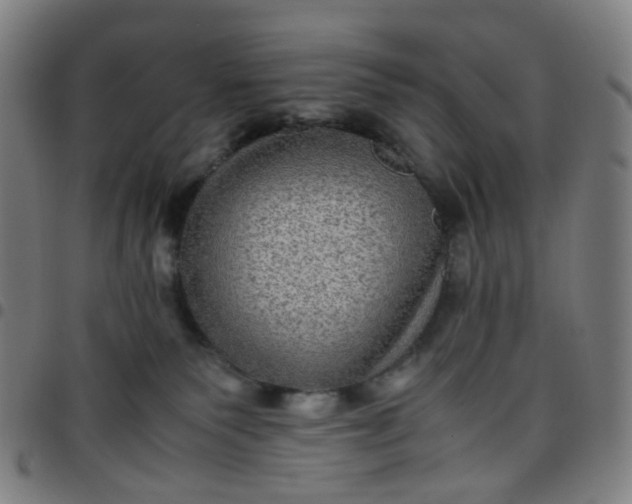 X0000097480135200803071725