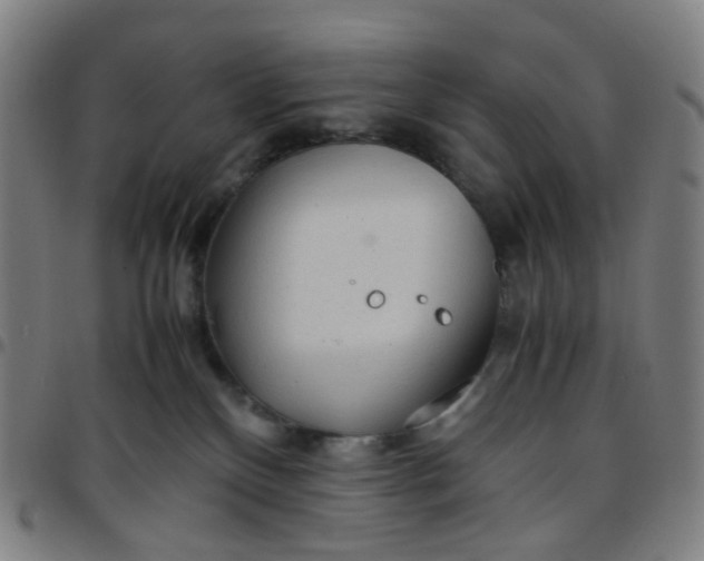 X0000097480136200803071725