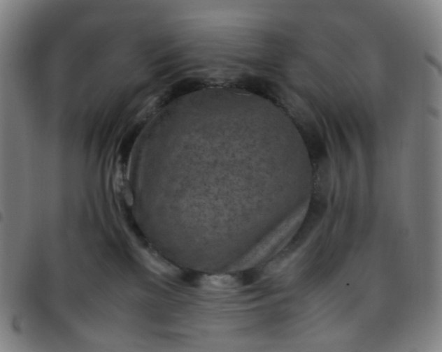 X0000097480137200803071725