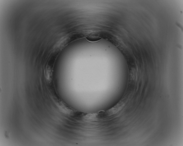 X0000097480138200803071725