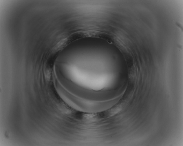 X0000097480139200803071725