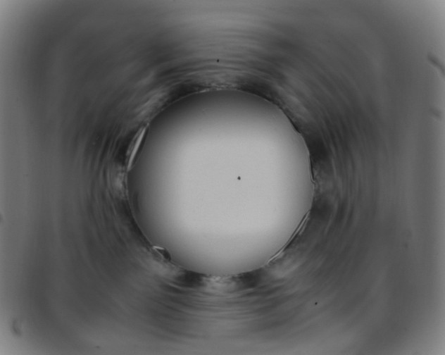 X0000097480141200803071725