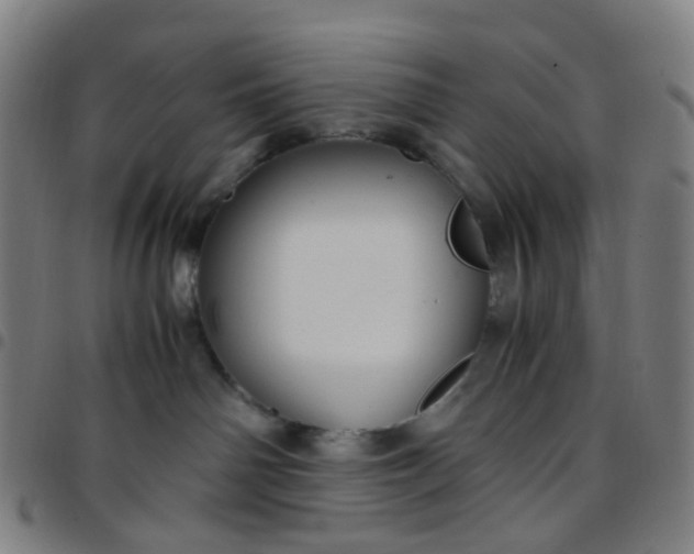 X0000097480142200803071725