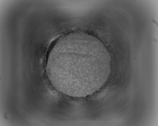 X0000097480144200803071725