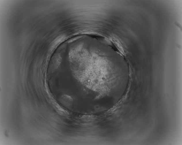 X0000097480145200803071724