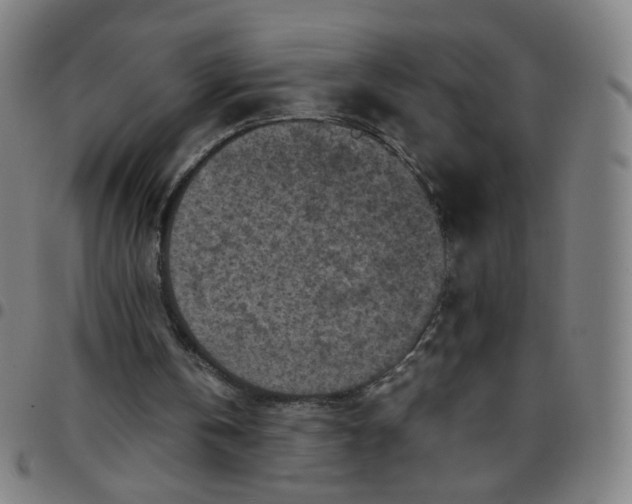 X0000097480146200803071724