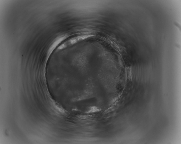 X0000097480147200803071724