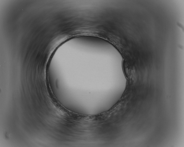 X0000097480148200803071724