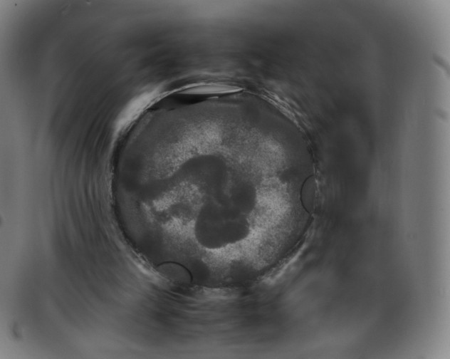 X0000097480149200803071724