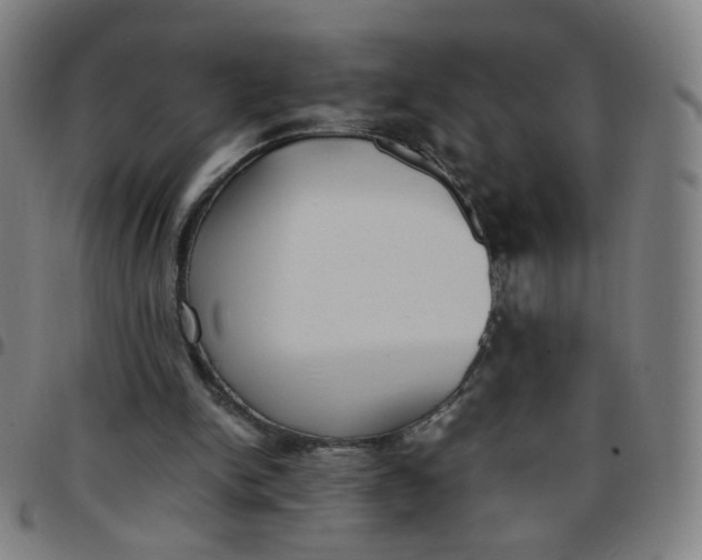 X0000097480150200803071724