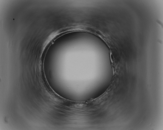 X0000097480152200803071724