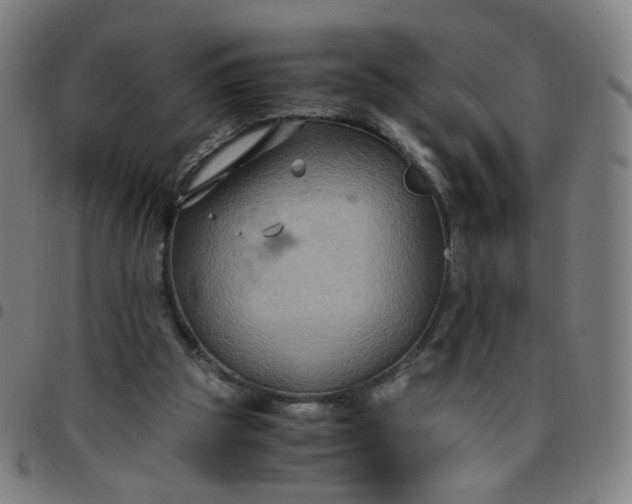 X0000097480153200803071724