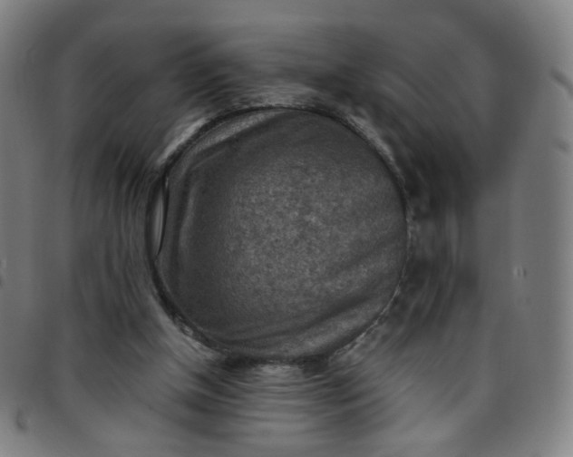 X0000097480154200803071724