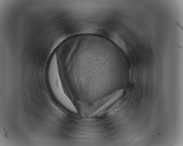 X0000097480156200803071724