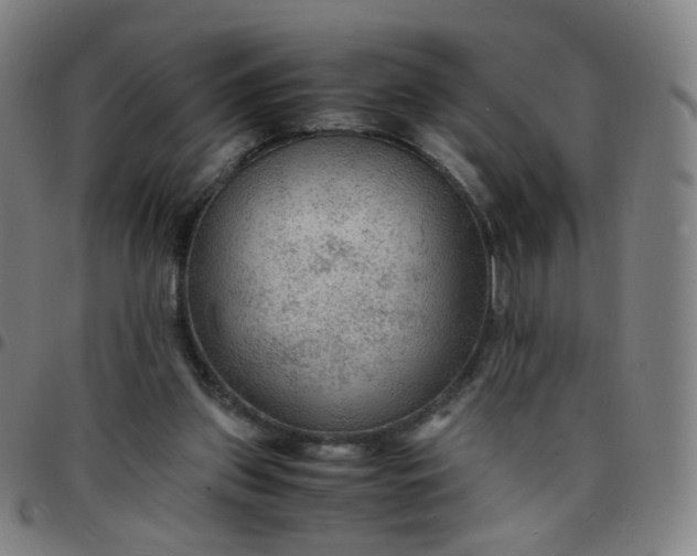 X0000097480157200803071724