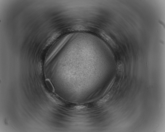 X0000097480158200803071724