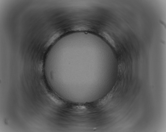 X0000097480159200803071724