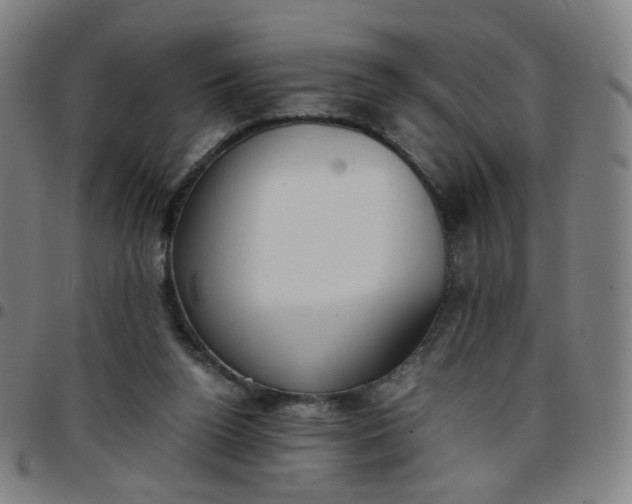 X0000097480160200803071724