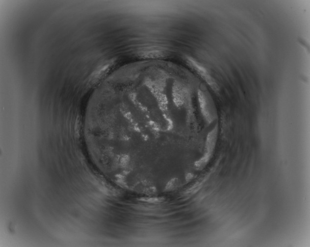 X0000097480161200803071724