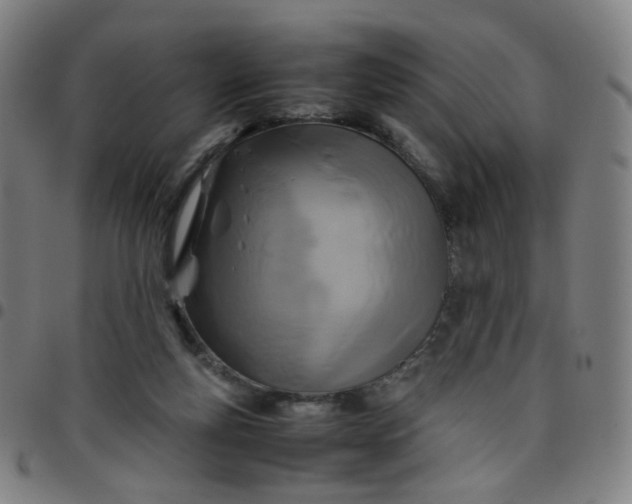 X0000097480163200803071724