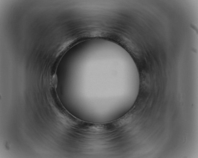 X0000097480164200803071724