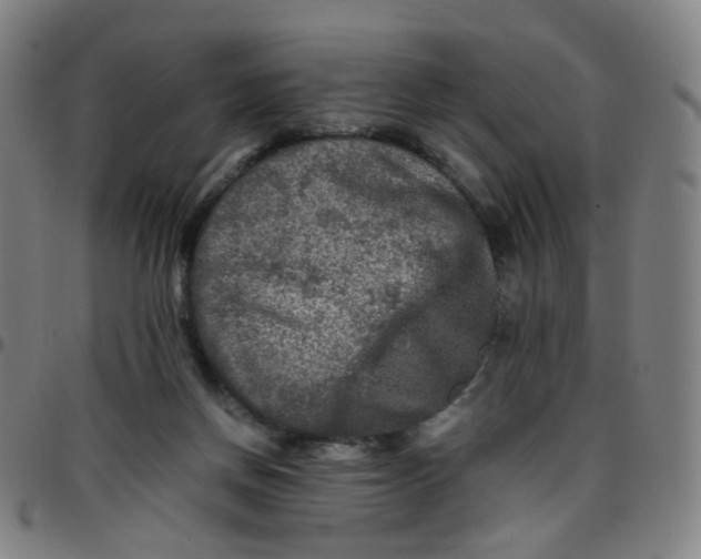 X0000097480166200803071724