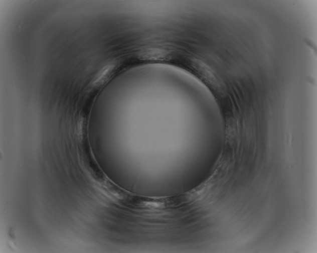 X0000097480167200803071724