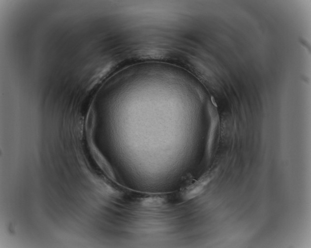 X0000097480168200803071724