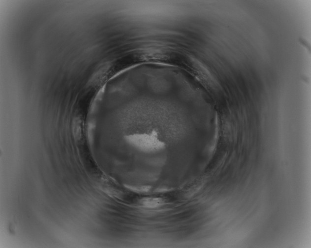 X0000097480169200803071724