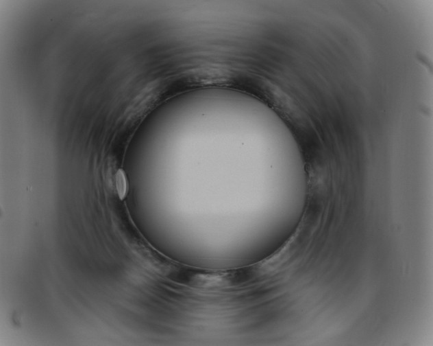 X0000097480170200803071724