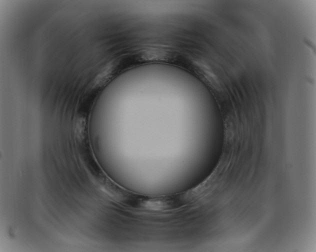 X0000097480171200803071724