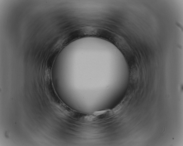 X0000097480172200803071724