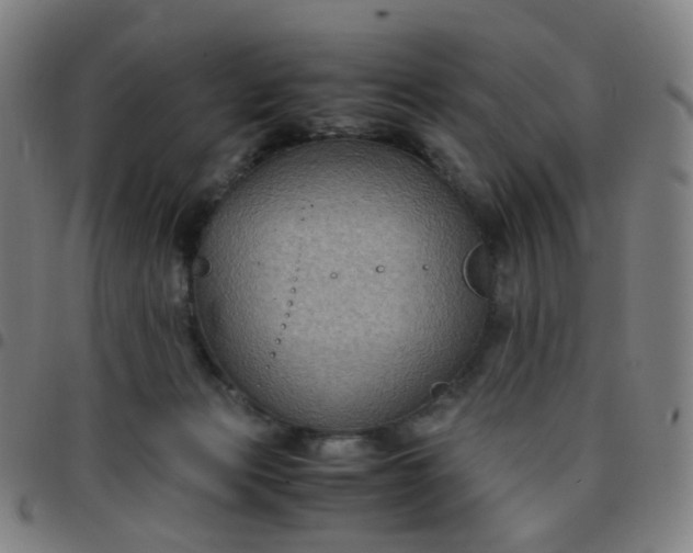 X0000097480173200803071724