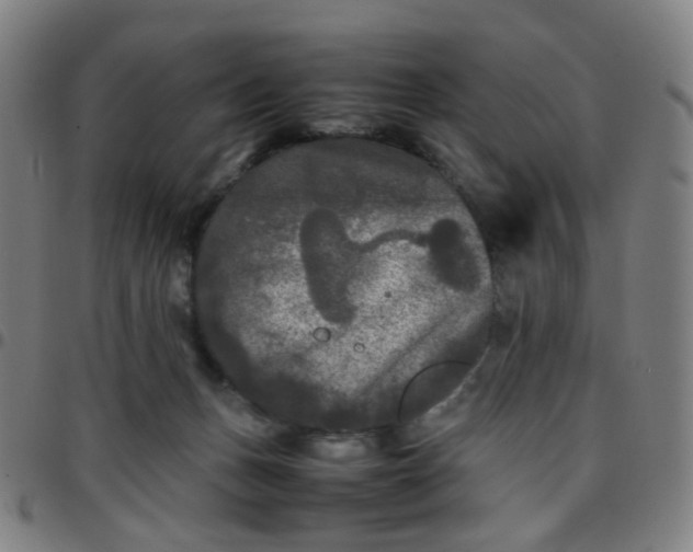 X0000097480175200803071725