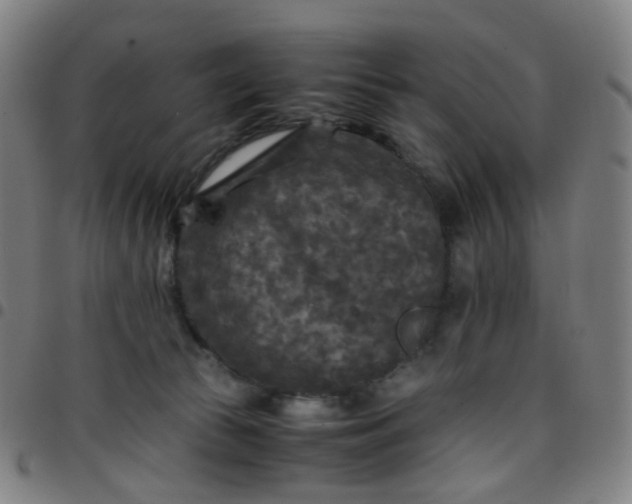 X0000097480177200803071725