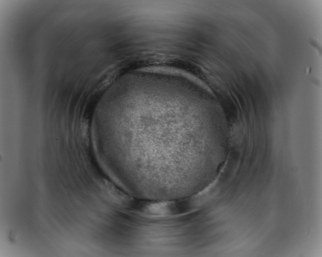 X0000097480178200803071725