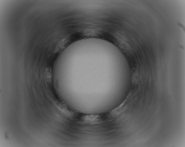 X0000097480179200803071725