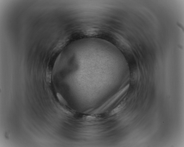 X0000097480180200803071725