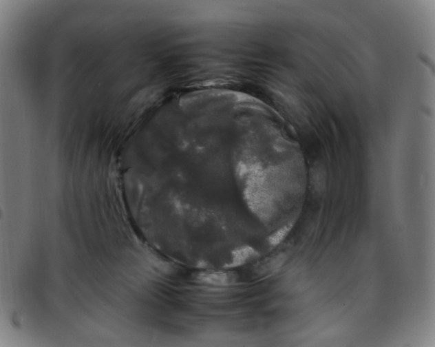 X0000097480181200803071725