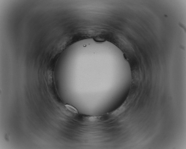 X0000097480184200803071725