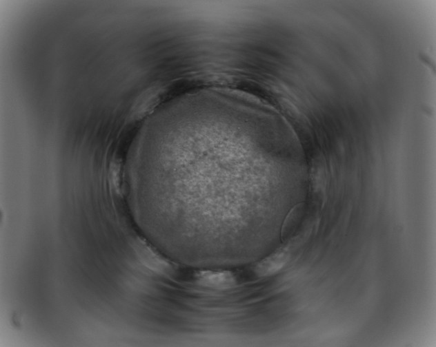 X0000097480185200803071725