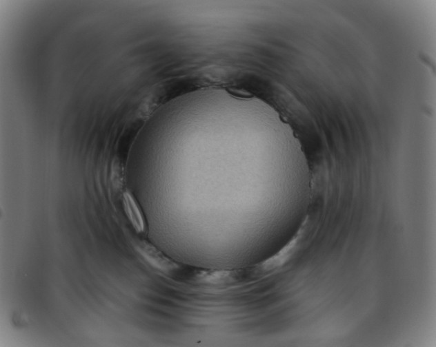 X0000097480186200803071725