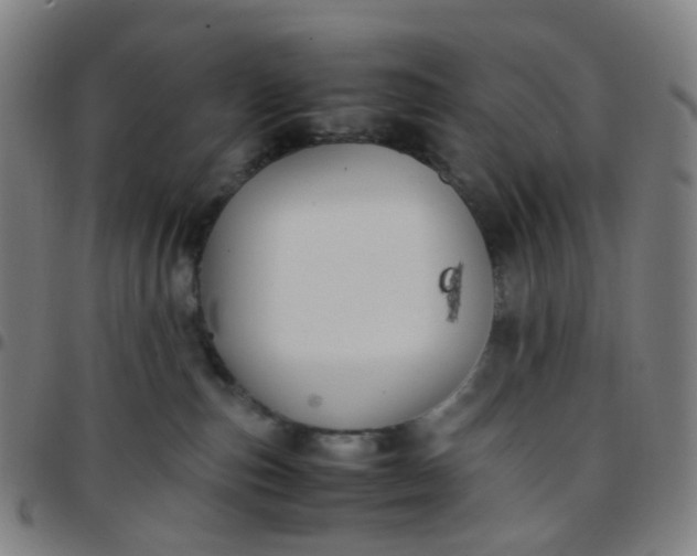 X0000097480187200803071725