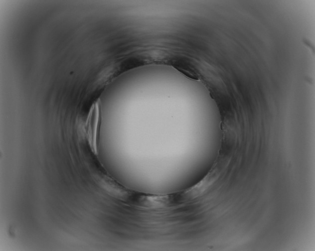 X0000097480188200803071725