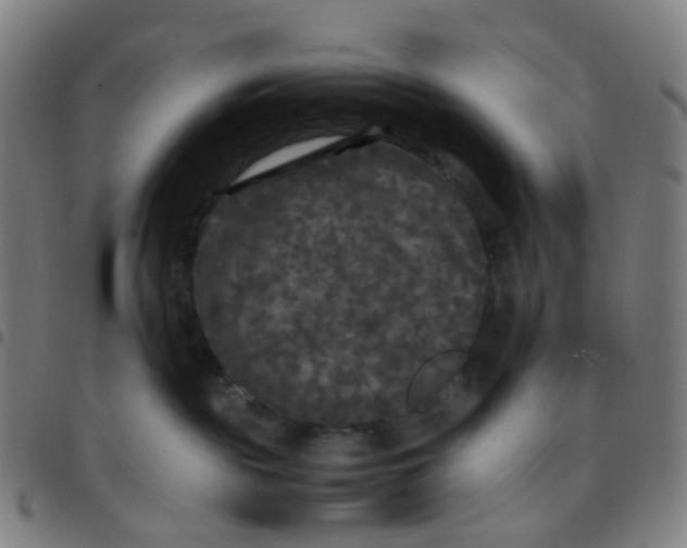 X0000097480189200803071725