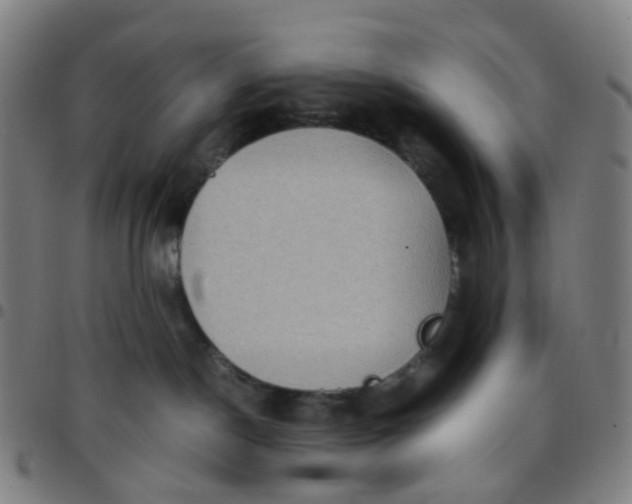 X0000097480190200803071725